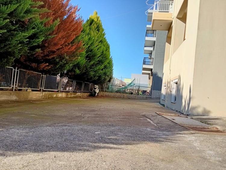 Semi-Basement 250M From Sea, Nea Chili Appartement Alexandroupolis Buitenkant foto